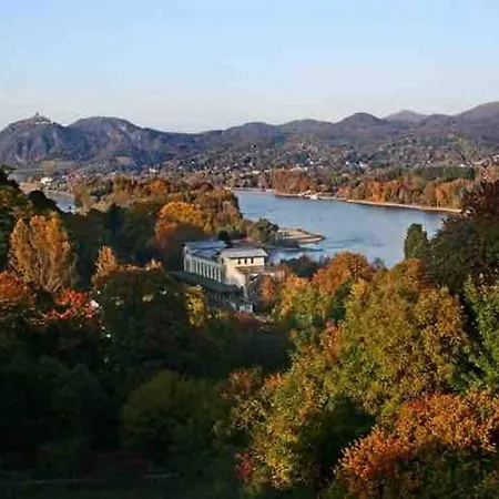 Apartment In Rheinnähe