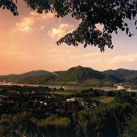 Apartment In Rheinnähe *